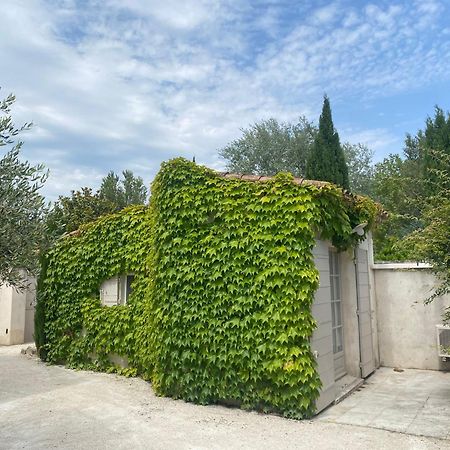 Le Mas Du Chemin : Mas Typique Des Alpilles Paradou Exterior foto